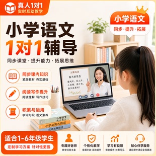 在线辅导小学一二三四五六年级语文阅读理解写作技巧汉语拼音古诗古句文言文专项训练提升线上家教老师一对一辅导真人教学网课