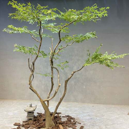 大型仿真树南天竹绿植假树室内外枯山水造景装饰景观盆栽仿真植物