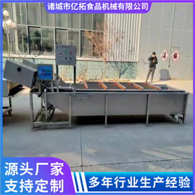 全自动果蔬气泡清洗机工厂流水线