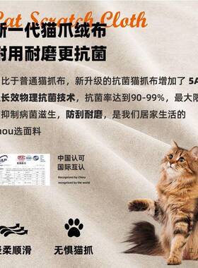 25新款家0用带灯悬浮床出租房主卧猫大床1米LET8抓绒布床2双人软