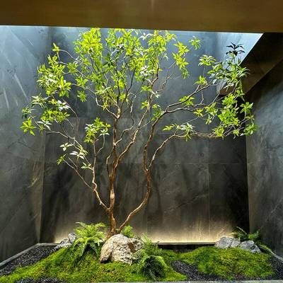 端马醉植木天井造高树景橱窗物室内真69146绿植装饰大型假树简