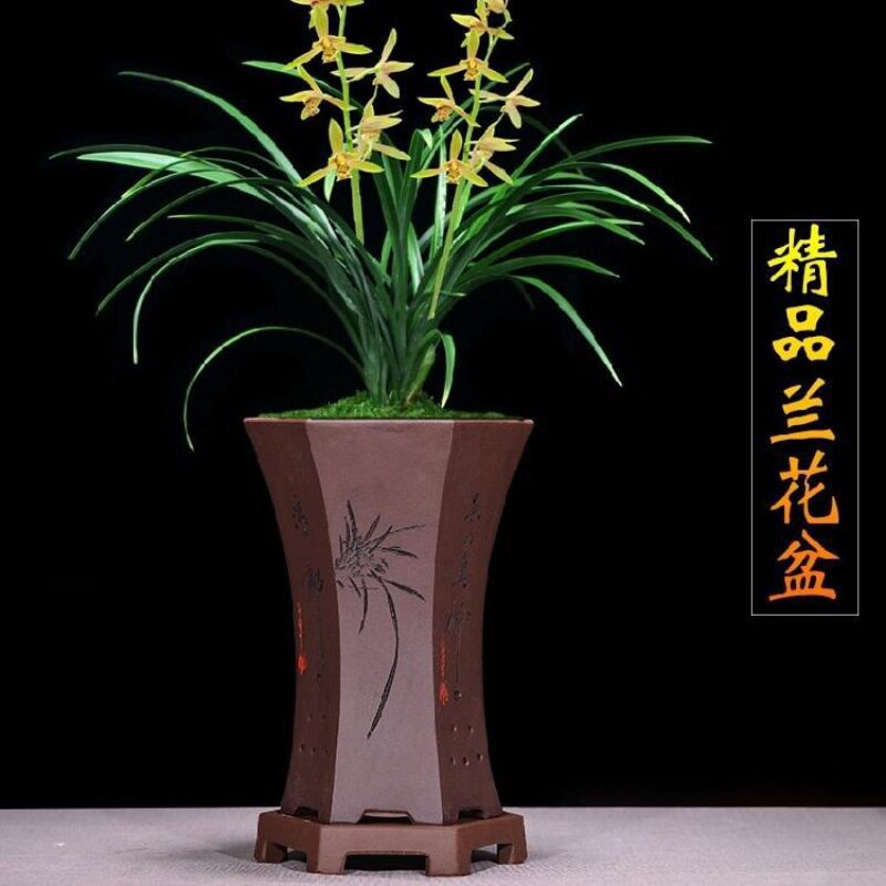 兰花专业盆精品紫砂兰花盆君子兰带托盘兰草盆景陶瓷盆栽室内客厅