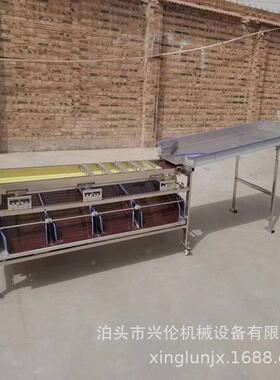 百果分拣LUW机山竹选果机锈钢材质轨道式斜板出料果不蔬分选香机