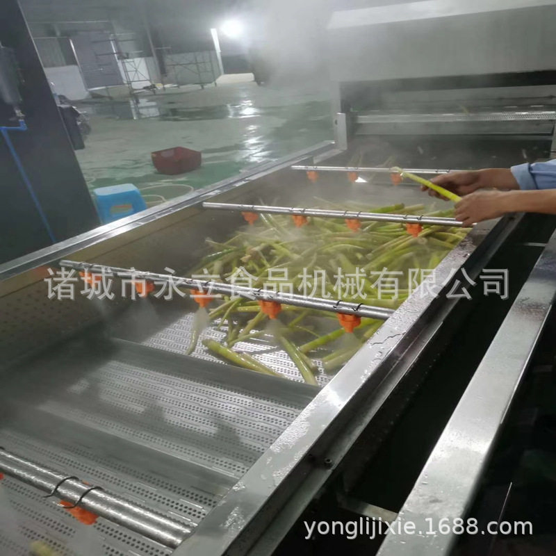 全自动果蔬净菜鼓泡清洗流水线