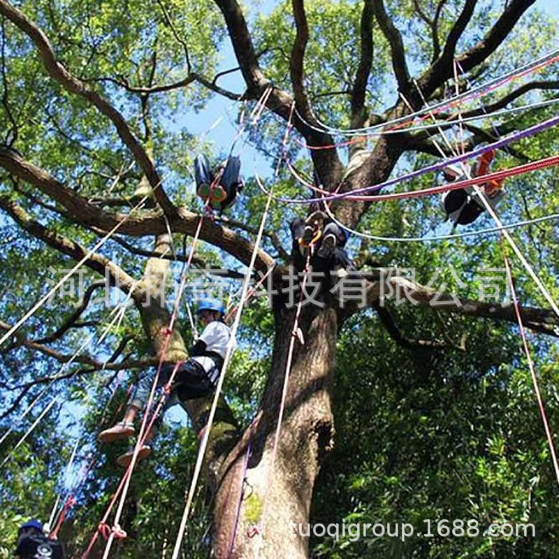 SRT绳索攀树器材 游乐园户外拓展装备 园林树攀攀登器材