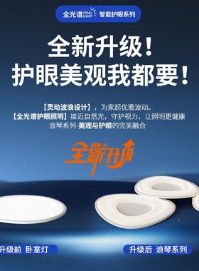 客厅吸顶灯2025新款现简约代鹅卵灯石护中眼全光谱大厅主NXM山灯