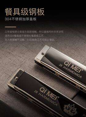 奇美口琴24孔复音C重初学者业学生儿童成人入门24孔音专演奏IDK调