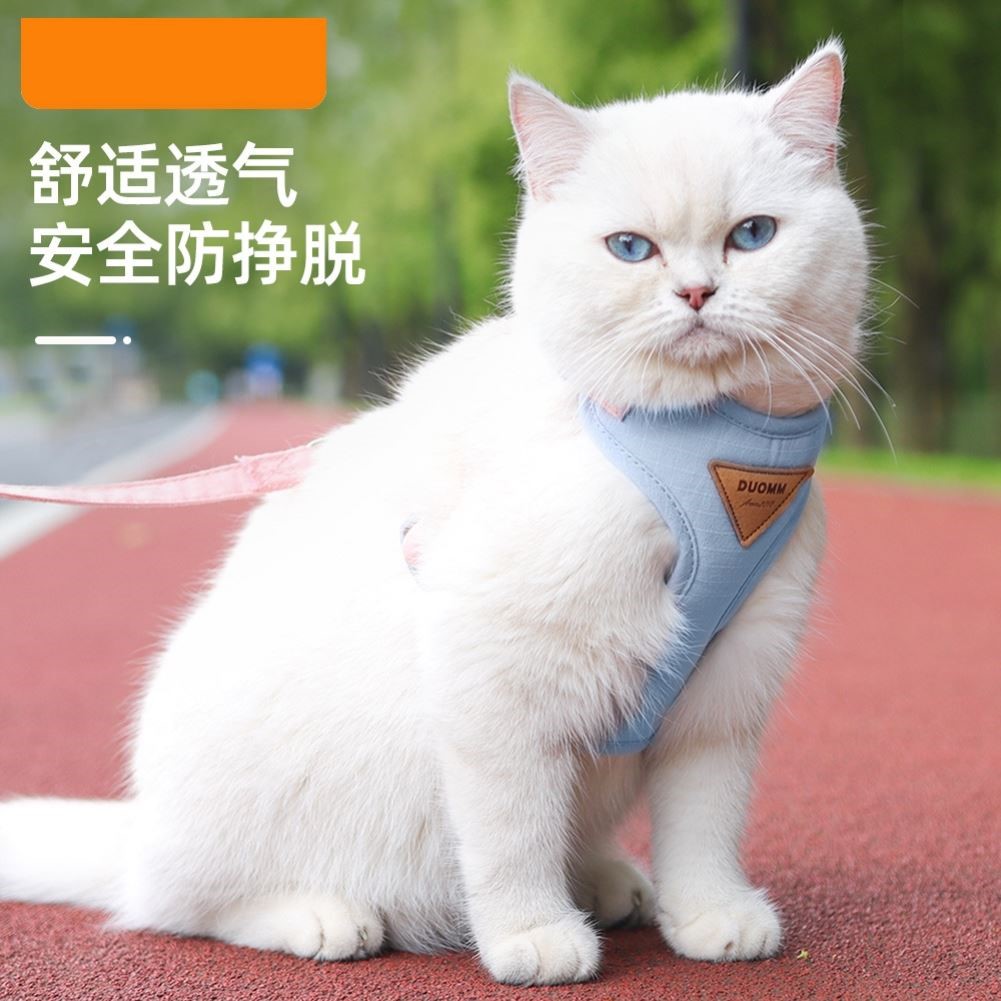 猫咪牵引绳防挣脱专用猫绳小型犬胸背带绳子溜猫绳宠物牵狗绳遛狗
