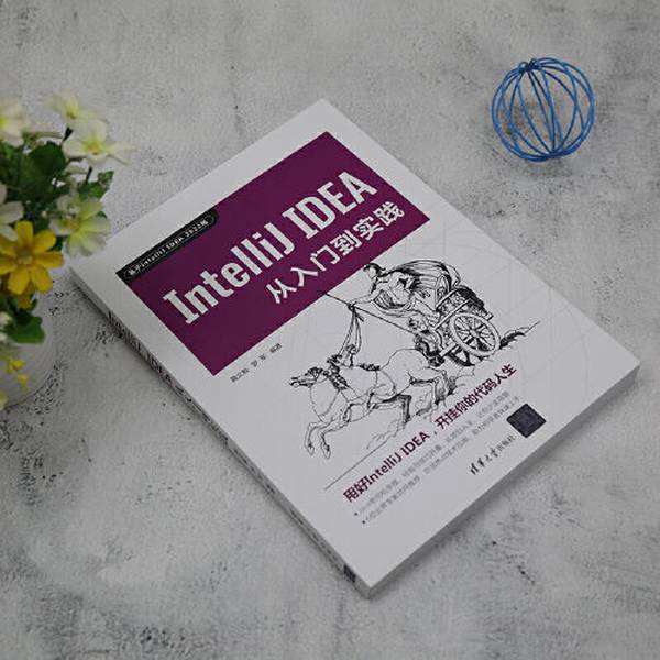 【全新正版】IntelliJ IDEA从入门到实践黄文毅；罗军9787302624844清华大学出版社