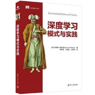 与实践 社 译9787302630630清华大学出版 著 全新正版 深度学习模式 李轩涯 安德鲁·费利奇 美 刘安安 Andrew 卢苗苗 Ferlitsch