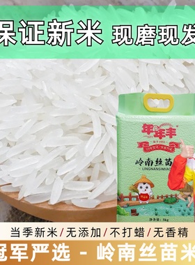 【晚稻新米】年年丰岭南丝苗米 大米煲仔饭籼米长粒香米5斤10斤