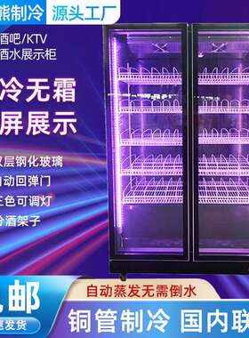 V酒吧藏展示柜 KT酒水酒啤饮冷料源冰熊展示柜 风冷冷柜网红冰柜