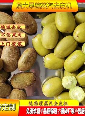 粉全猕自TWV动猴桃去皮机 木薯加工去皮设备 果蔬蒸红薯汽去皮机
