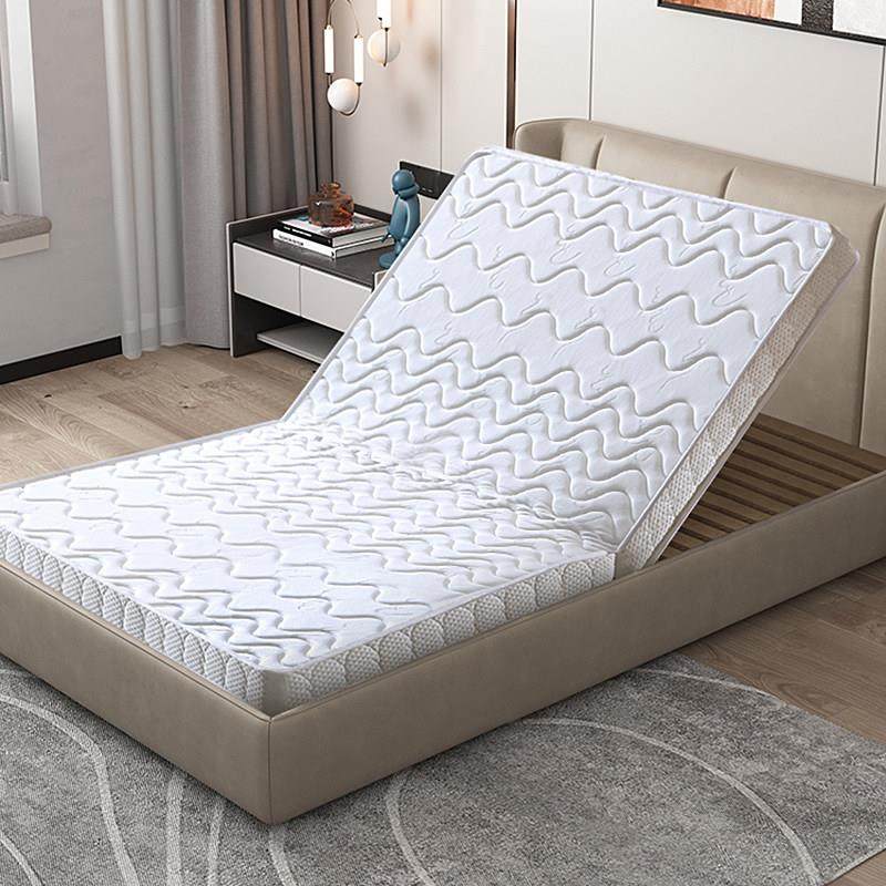 可折叠棕榈棕垫1.5m1.2米经济型无胶水椰棕床垫单人家用偏硬薄垫,住宅家具,椰棕床垫,淘宝优惠券,粉丝福利购,淘宝优惠卷