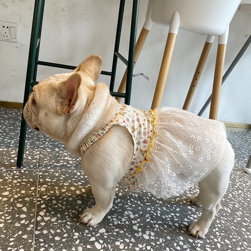 法斗夏季衣服可爱巴哥背心吊带裙子宠物狗狗春夏季薄款衣服裙包邮,宠物/宠物食品及用品,狗宠物服装/雨衣,淘宝优惠券,粉丝福利购,淘宝优惠卷