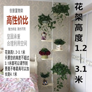 室内客厅阳台花架子多层艺术花架顶天立地悬挂式绿萝吊兰花盆架
