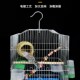 鸟笼子鹦鹉笼家用通用电镀玄凤鹦鹉虎皮牡丹鸟笼大号豪华别墅铁艺