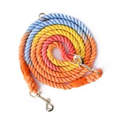 狗狗牵引绳多功能斜挎彩虹编织双头遛狗绳中小型犬解放双手牵狗绳