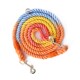 狗狗牵引绳多功能斜挎彩虹编织双头遛狗绳中小型犬解放双手牵狗绳