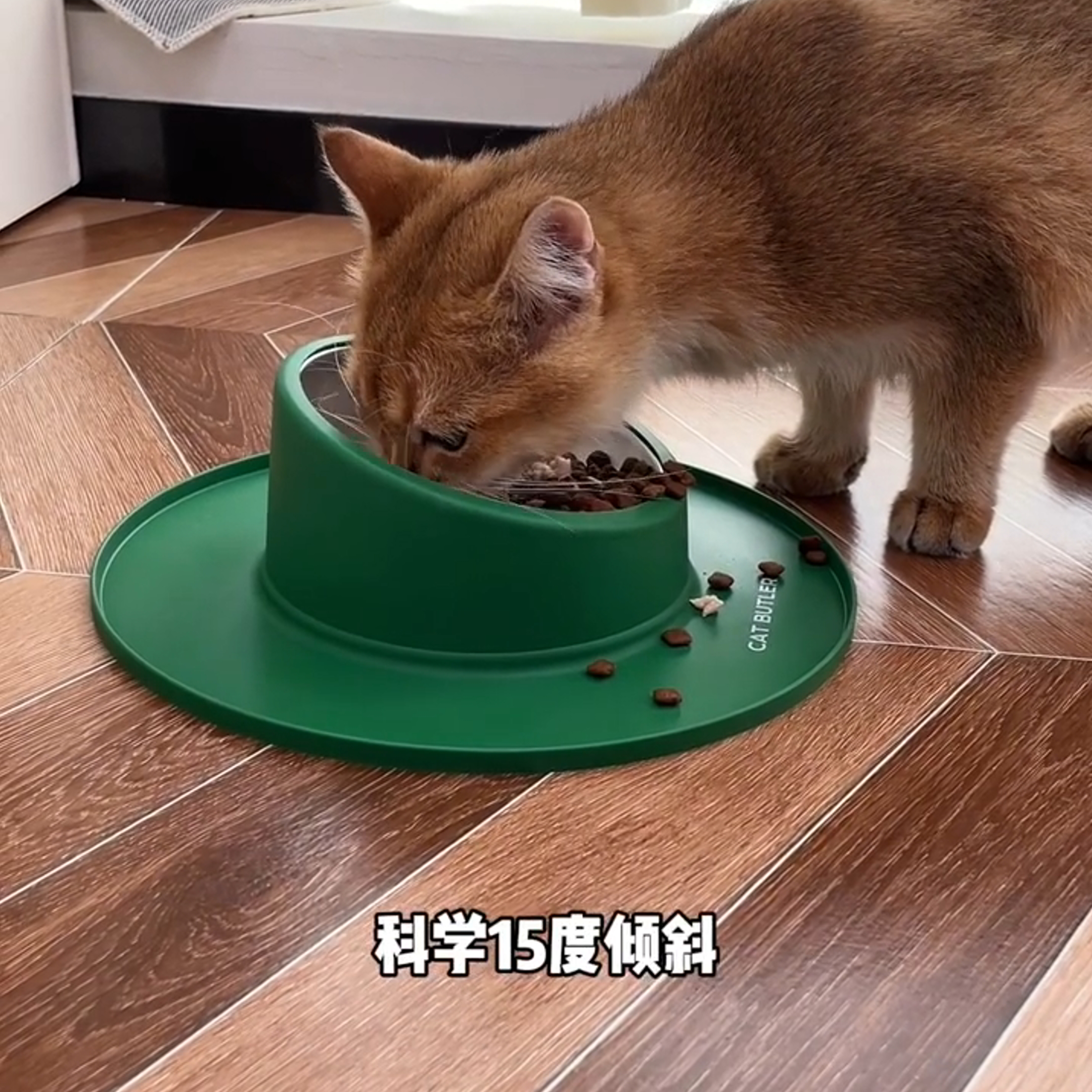 猫碗不易打翻不锈钢狗碗