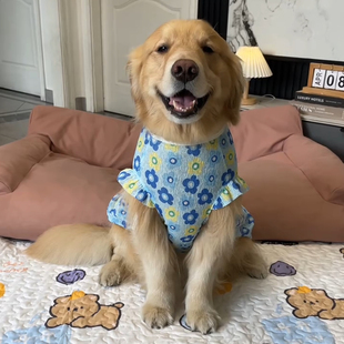 宠物狗狗凉凉衣服夏季薄款碎花公主裙子小中大型犬金毛防掉毛背心