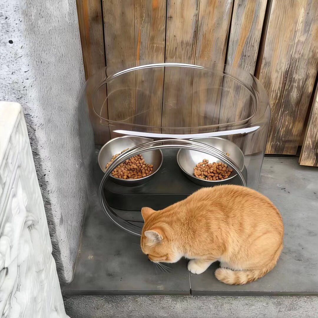下大雨也不怕!流浪猫喂食碗