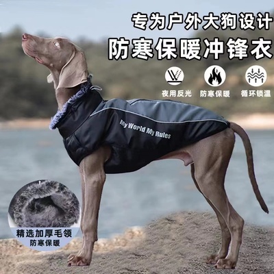 格力犬狗狗衣服冬灵缇惠比特犬