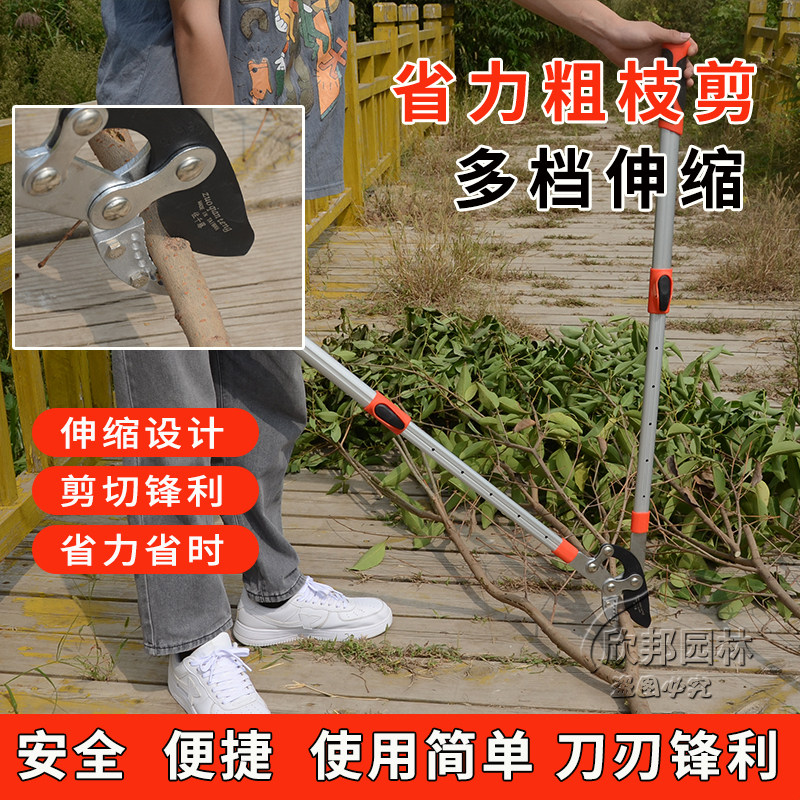 园林园艺粗枝剪果k树修枝压力剪树木大剪刀绿化剪修枝剪杆子长剪图片