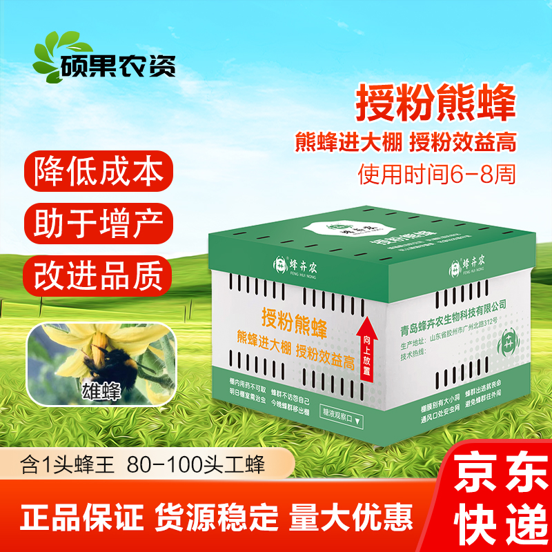 授粉熊蜂雄蜂番茄黄瓜草莓蓝莓授粉约100只（蜂王工蜂）6-8周