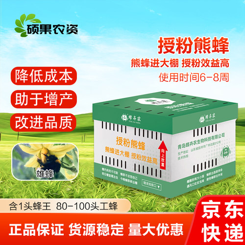 授粉熊蜂雄蜂番茄黄瓜草莓蓝莓授粉约100只（蜂王工蜂）6-8周