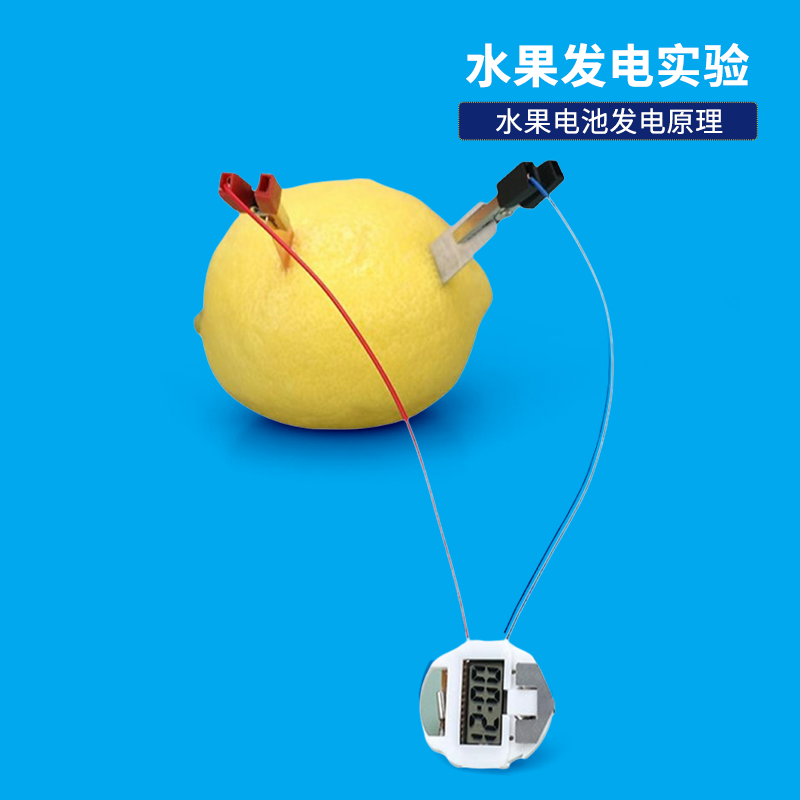 水果电池做实验DIY学校教具
