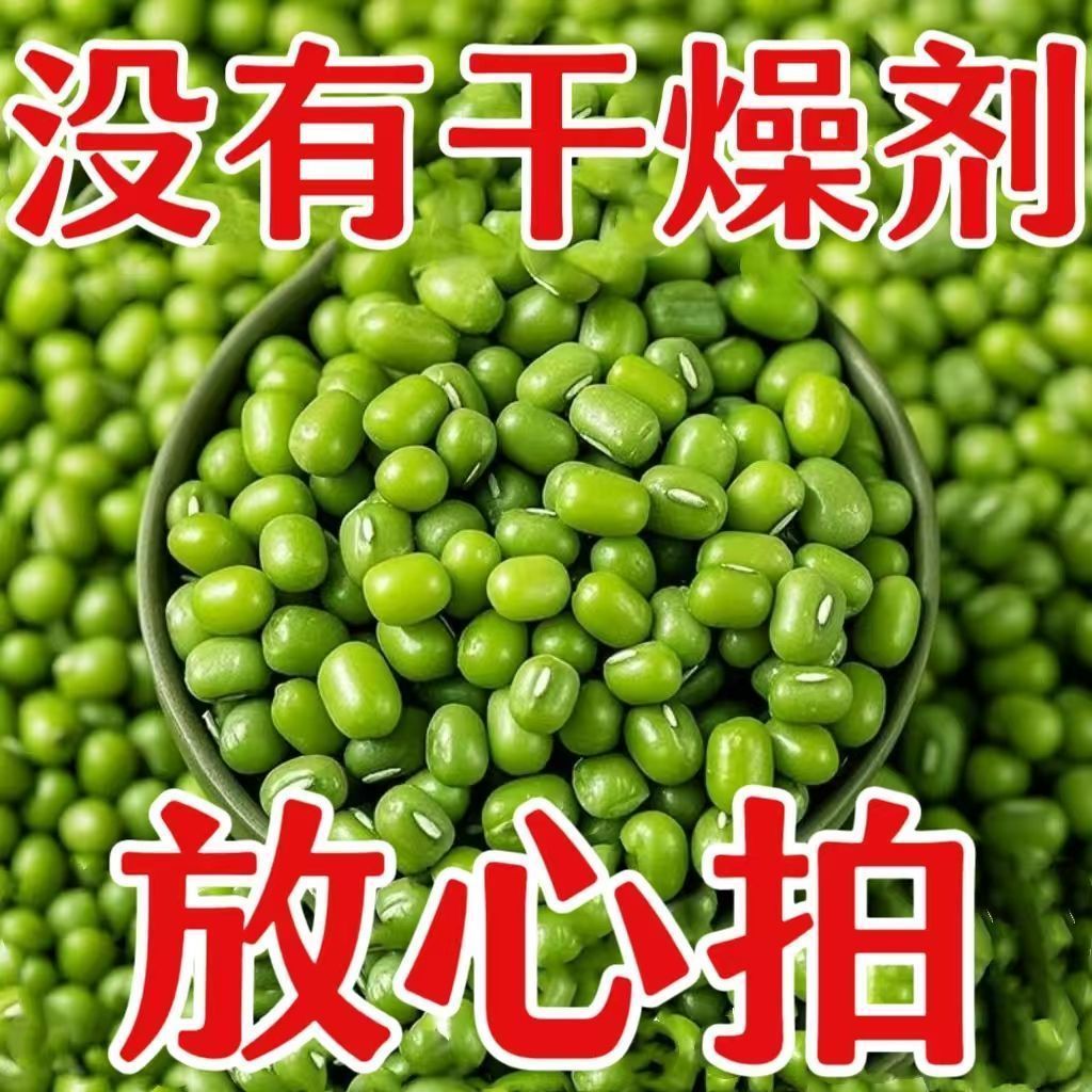 【无干燥剂】2025新鲜绿豆精品农家绿豆汤批发绿豆发芽滋补经典方