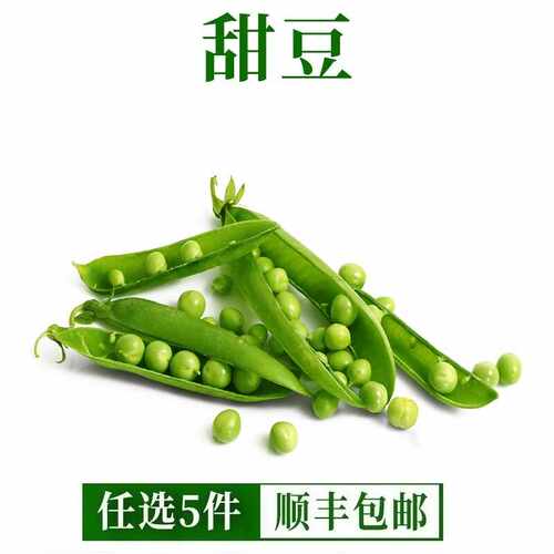 福建新鲜甜豆500g 荷兰豆青豆豌豆角蔬菜豆粒带壳甜豆荚5件包邮
