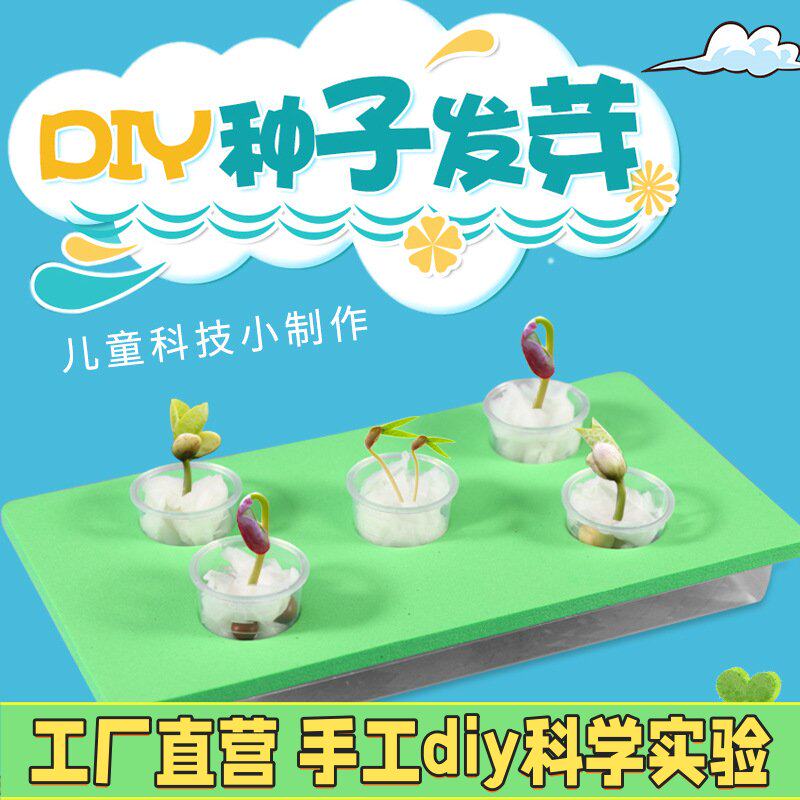 学生科学实验玩教具儿童科技小制作发明材料益智diy手工种子EC17