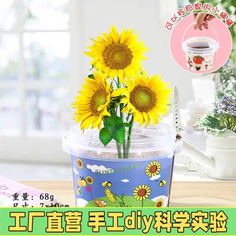 手提儿童种植迷你小盆栽观察科学实验创意植物幼儿园奖品学生EC27