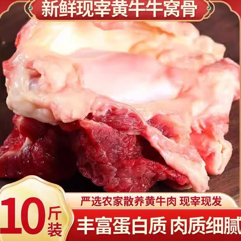 新鲜带肉黄牛牛窝骨煲汤炖卤