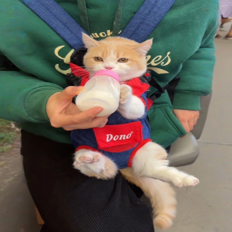 猫包便携外出轻便款双肩背包猫咪斜挎胸前宠物外出包小狗携带神器