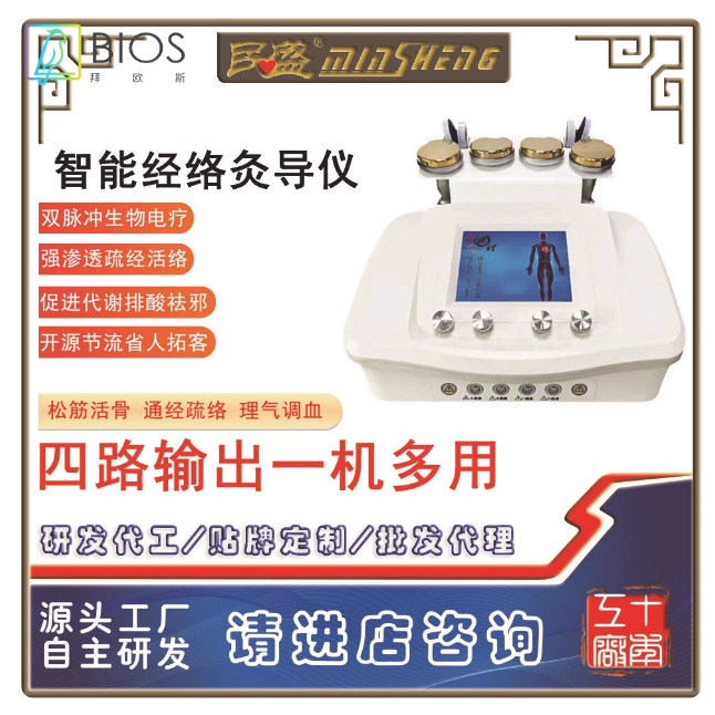 民盛dds生物电脉冲经络疏通仪