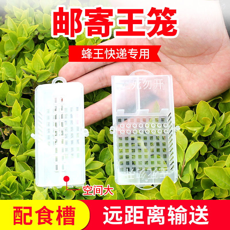 中蜂邮寄王笼快递蜂王盒子专用新式多功能蜜蜂囚王笼意蜂介王储王