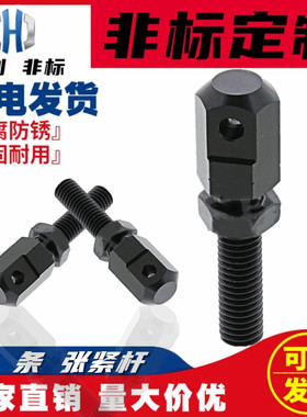 CEC L-L/R加硬淬火40 60 50 60 R80链轮/链条调节螺栓 连接杆零件