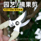 修花剪修枝剪园艺剪枝剪刀果树不锈钢园林花艺剪子工具修剪树枝剪