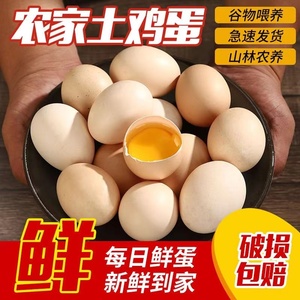 农家正宗土鸡蛋果园山散养农村笨鸡蛋新鲜营养40枚柴鸡蛋整箱批发
