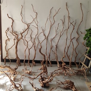 杜鹃根树枝树根鱼缸造景沉木树热带雨林花艺装 饰木头 饰干支枯枝装