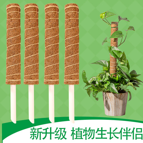 大叶绿萝植物攀爬棕柱椰棕棒龟背竹支撑杆攀爬架海芋支柱棕榈苔藓