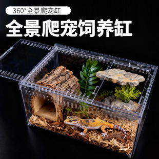 豹纹肥尾守宫宠物蛇专用爬宠缸保温饲养盒恒温箱亚克力加热垫造景
