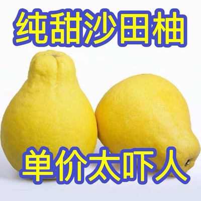 【纯甜】正宗梅州沙田柚梅县金柚新鲜当季水果批发白心肉孕妇柚子