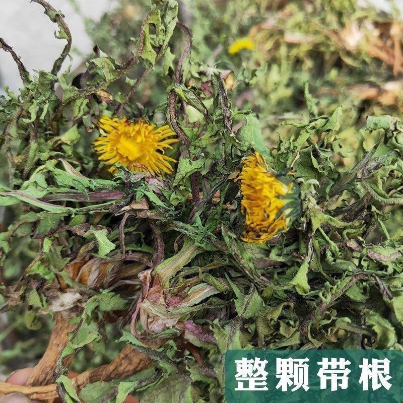 正宗野生蒲公英正品蒲公英泡水喝带根儿泡茶整颗婆婆丁晒干新货
