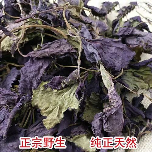 野生紫苏叶农家日晒新鲜紫苏叶干紫苏梗去腥烧鱼虾蟹香料