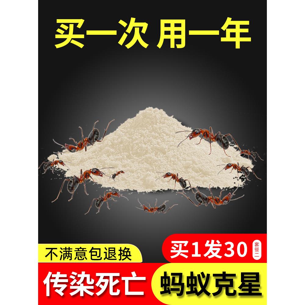 呋虫胺蚂蚁药全窝家用室内非无毒端灭杀除白蚁防治专用户外杀虫剂