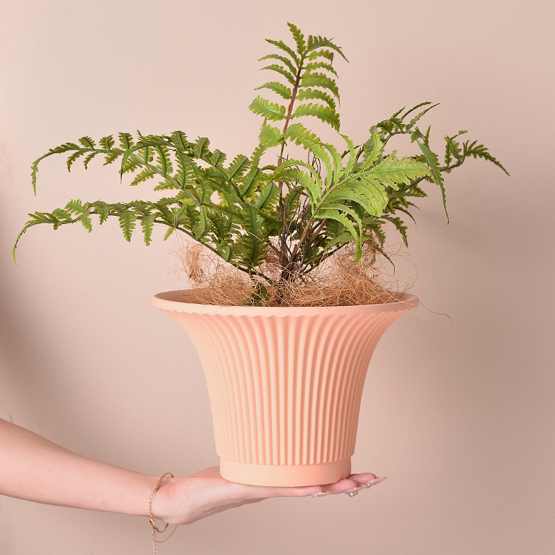 北欧奶油风陶瓷素烧花盆带托盘圆形家用网红陶土多肉绿萝兰花有孔